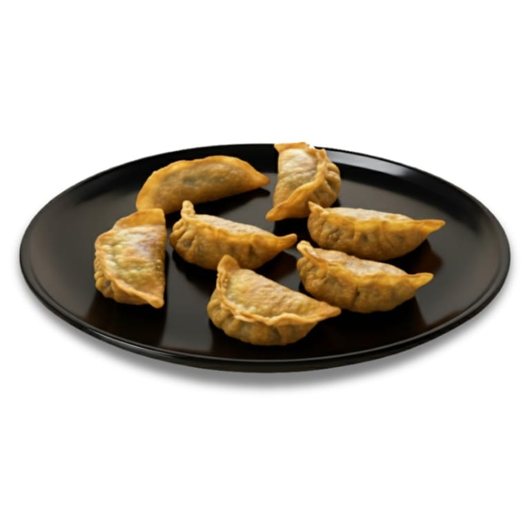 Savor Our Dumplings