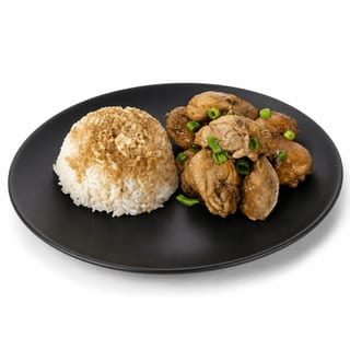 Adobo with Rice